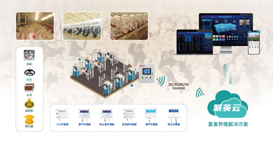 养鸡场智能环境监控系统,手机查看鸡舍温湿度,一人养殖百万鸡群