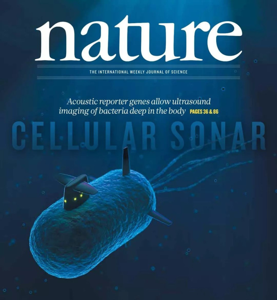 技术进步引领抗衰老潮流,富裕人群抢先一步