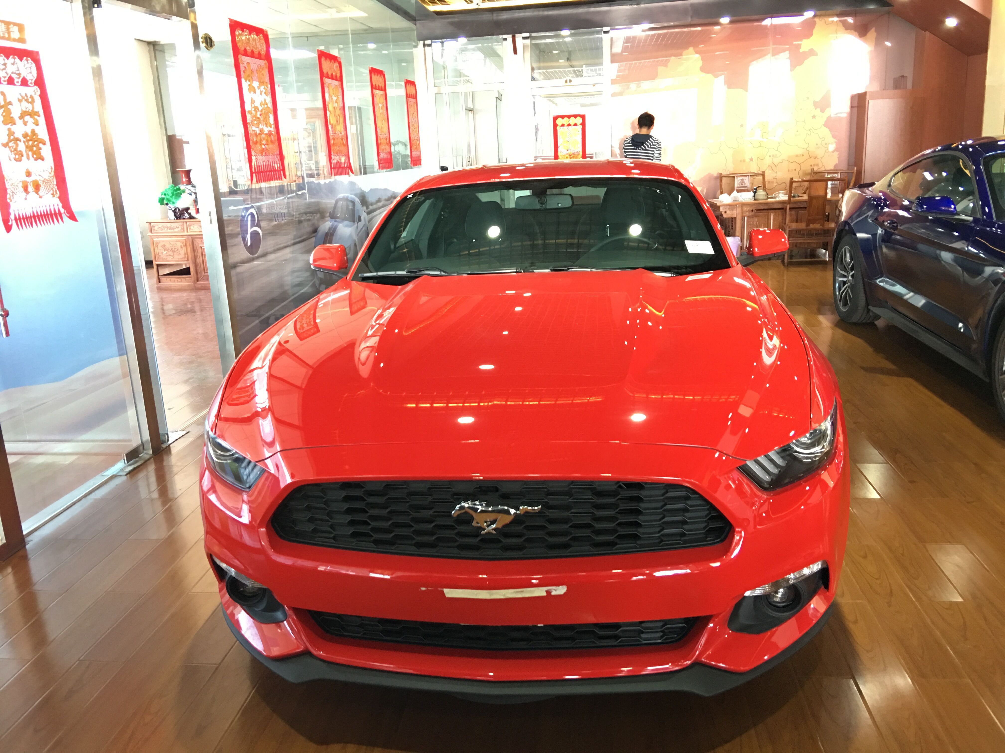 畅游风野:与福特野马的邂逅