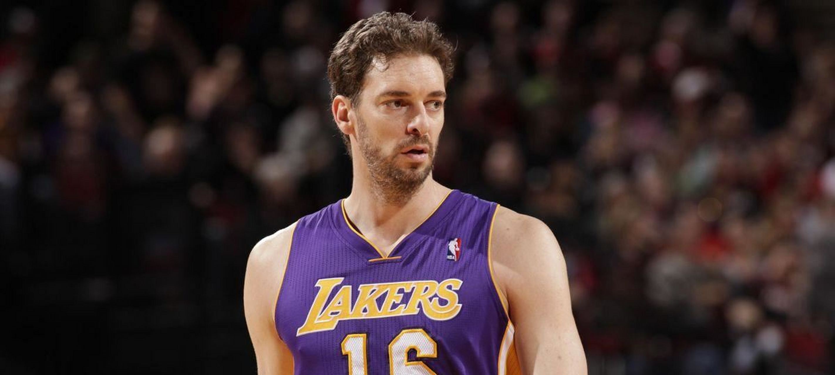 从荣誉和成就看,加索尔在湖人表现更出色.