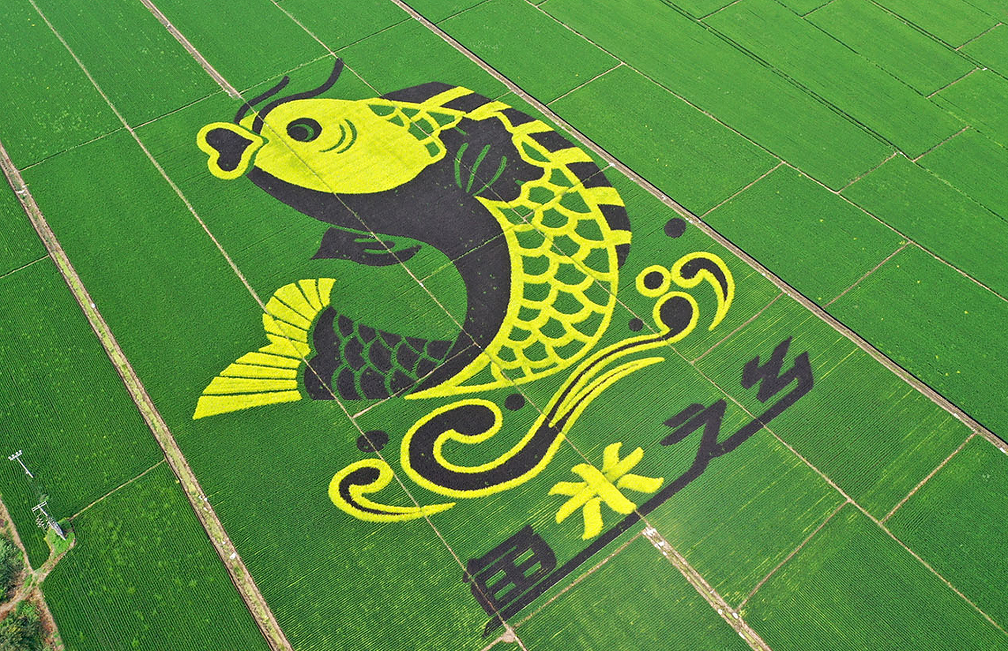 [原文:稻田画行业到底有多暴利?