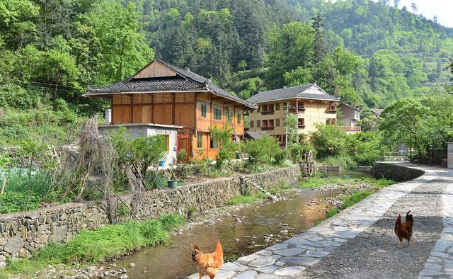 平阳水口村图片