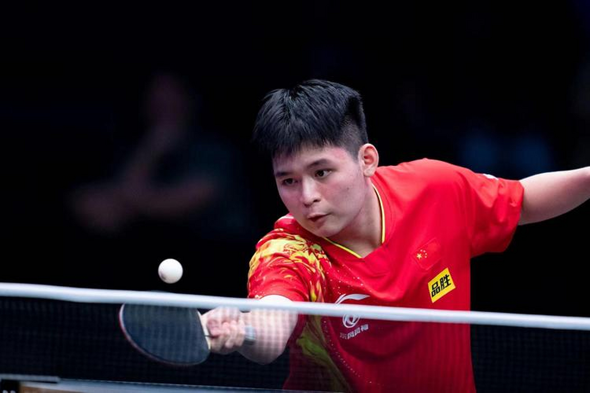 樊振东,林诗栋领衔国乒,强势晋级!周启豪更是3-0横扫对手!