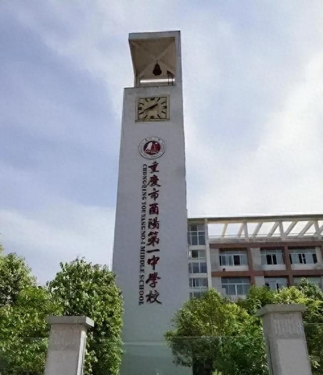 重庆一中学强制家长购买学习软件引争议,软件偷税,无用且信息泄露风险