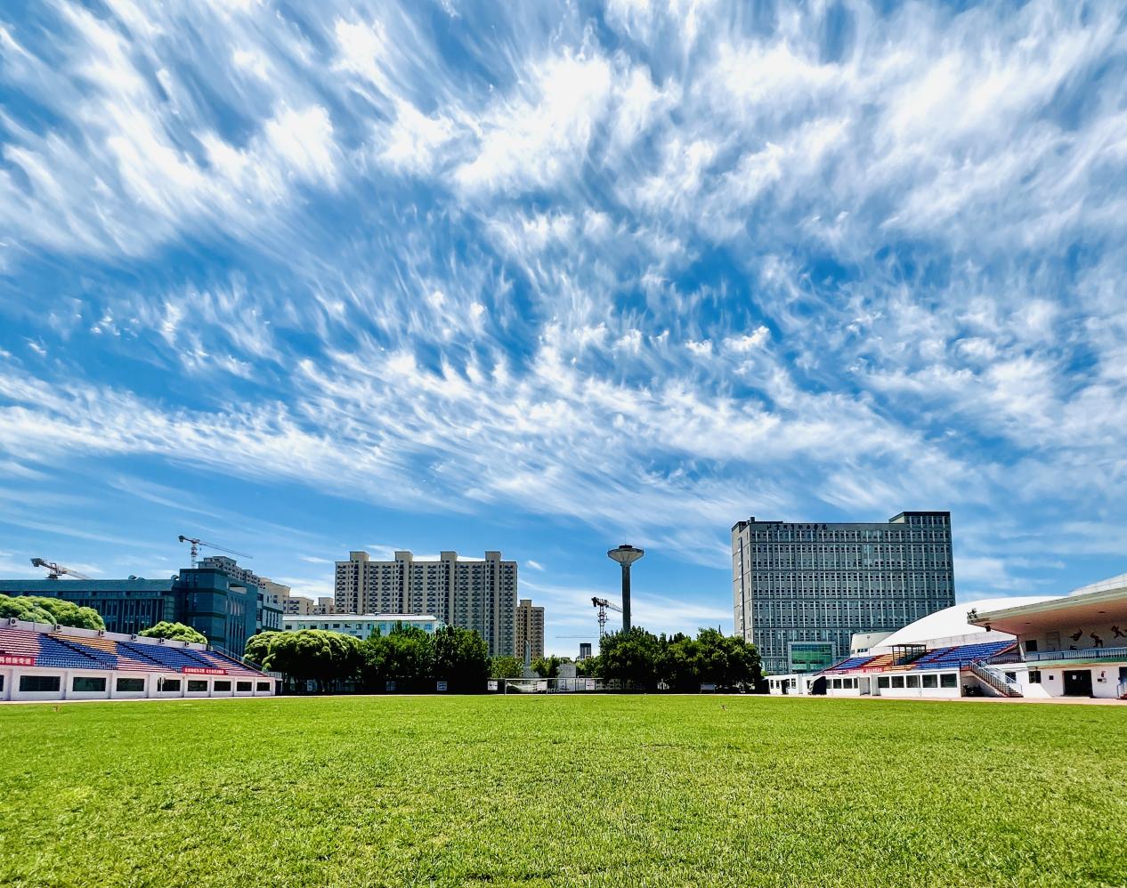 北京新圆明职业学院图片