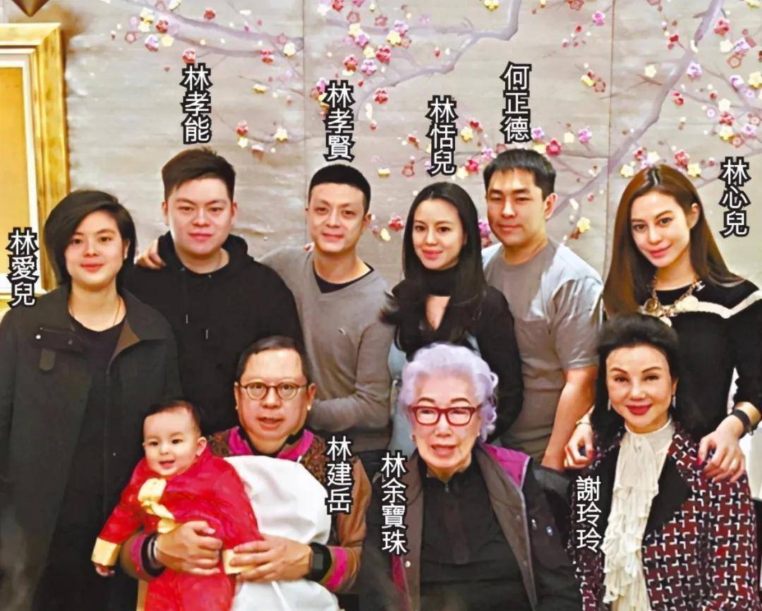 林建岳子女与堂姐弟欢聚,合照中谢玲玲居中,林建名独子抢尽风头