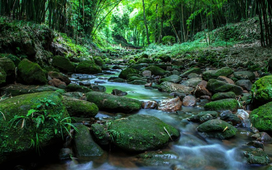 四川第二大竹海景区:天府川西竹海,冬日里的好去处