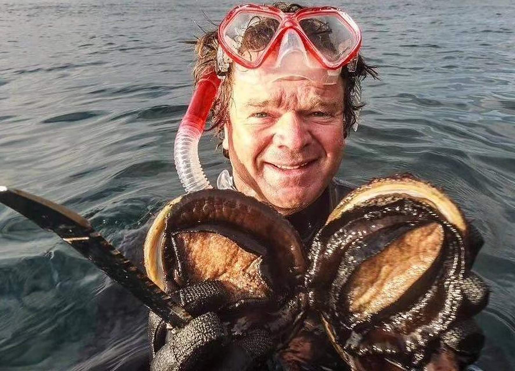 鲍鱼为什么那么贵 鲍鱼为什么那么贵