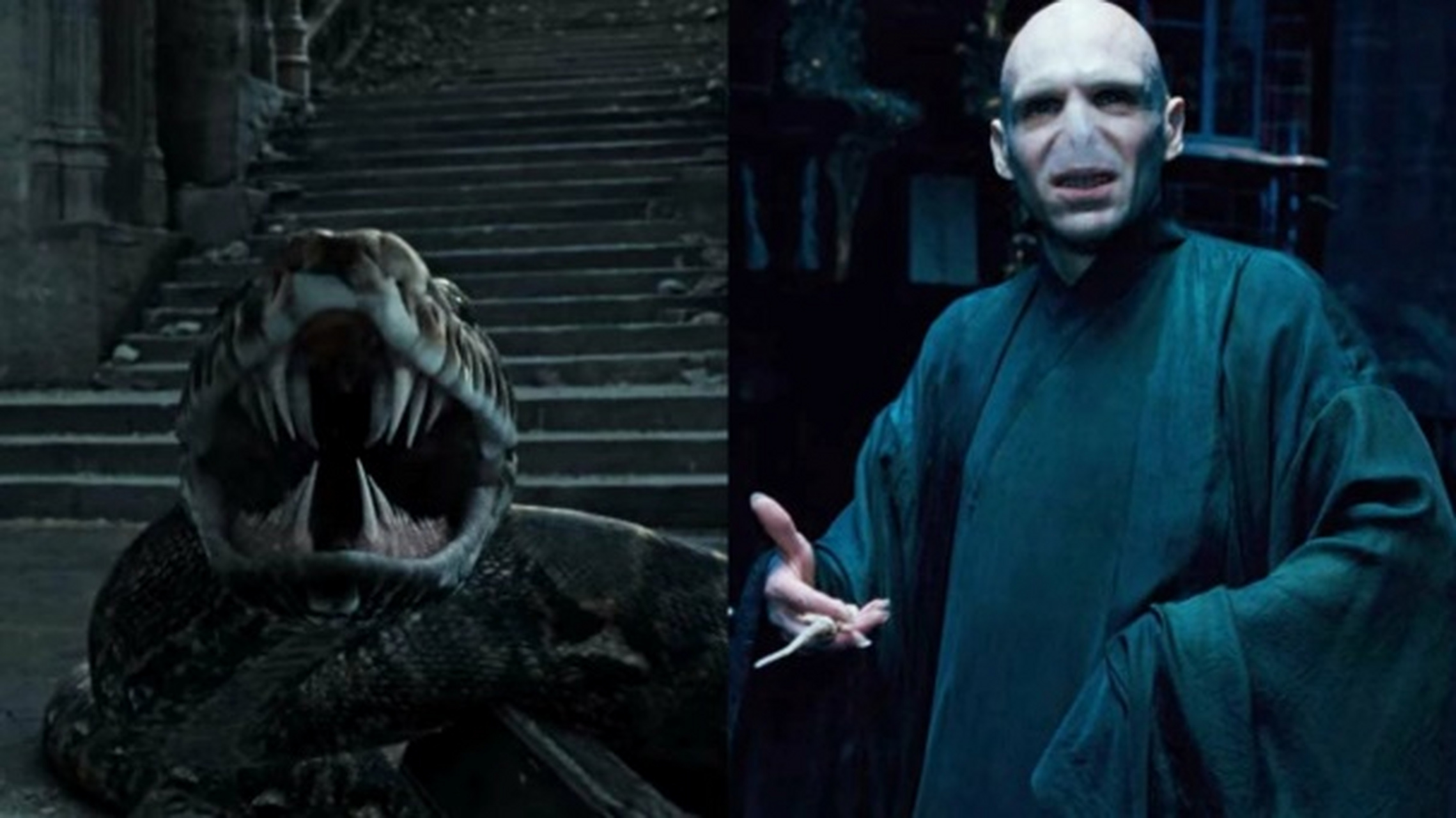 纳吉尼原本是一个受到家族诅咒的女人,后来变成了蛇.