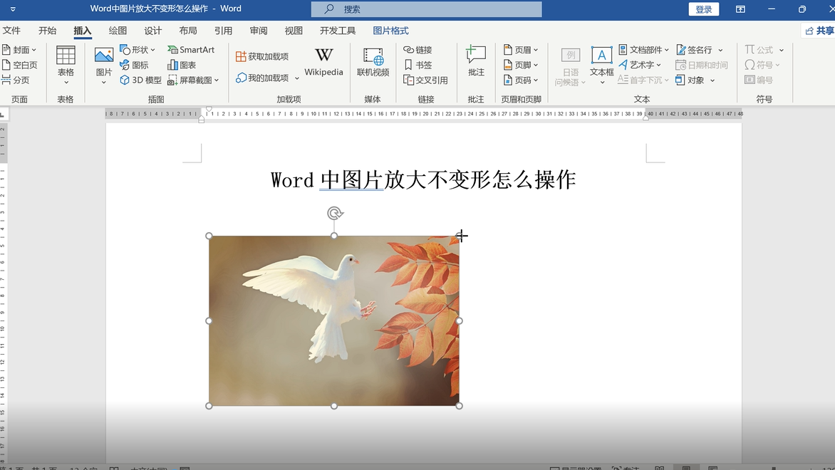 word中图片放大不变形怎么操作