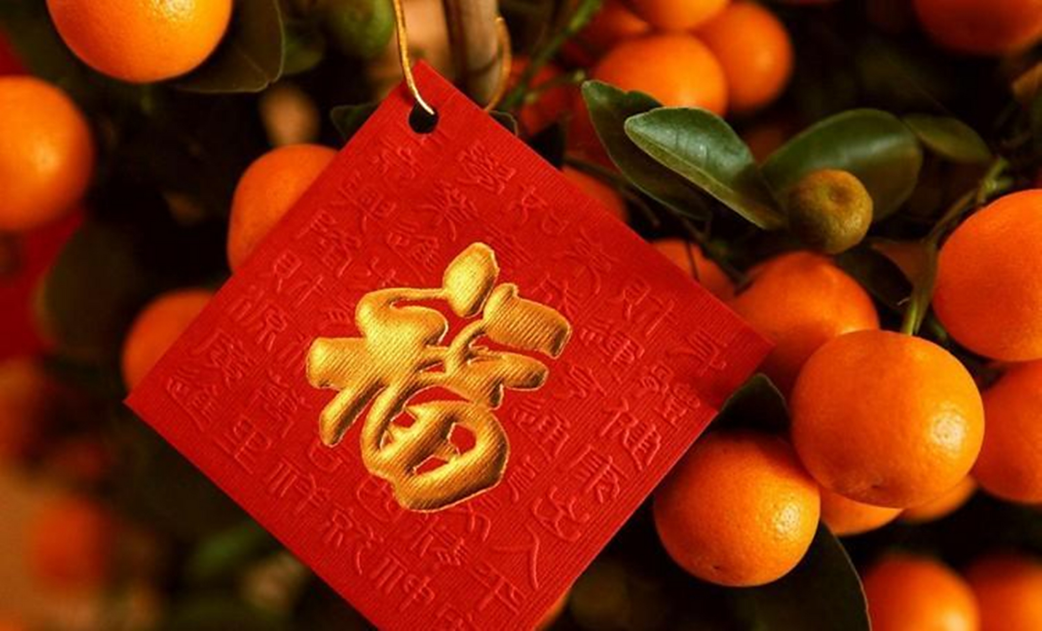 初三早餐吃元宝发财饺,象征财运亨通;午餐吃福气汤圆,寓意团圆幸福