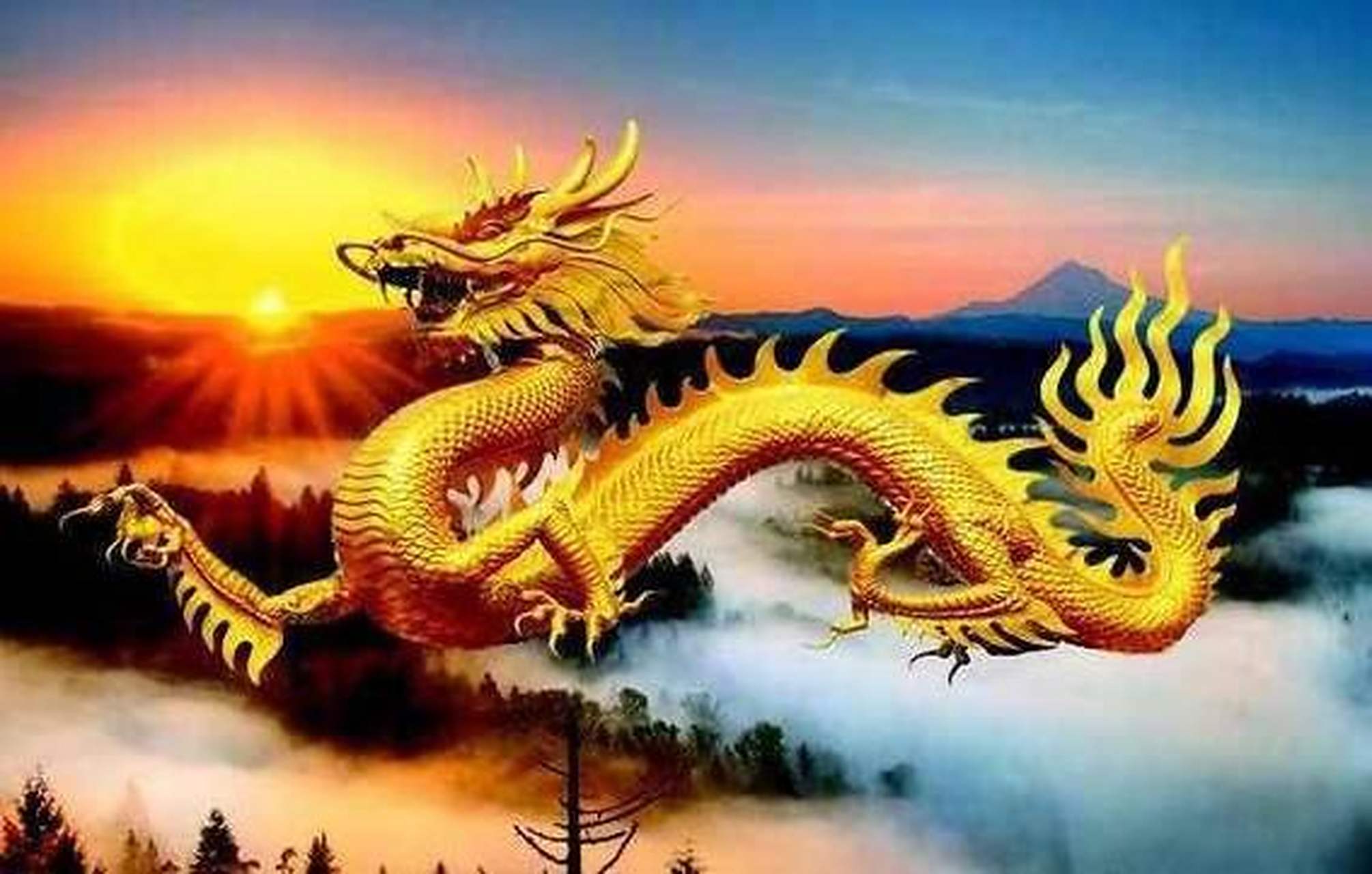 梦见两条金色的大龙，探索梦境中的神秘象征与深层寓意