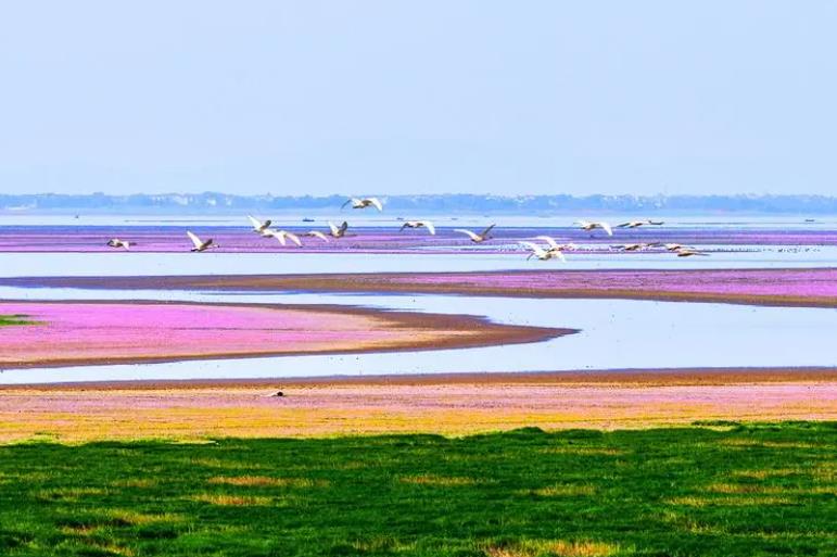 江西跟团旅游两日游多少钱,江西鄱阳湖旅游2日游攻略