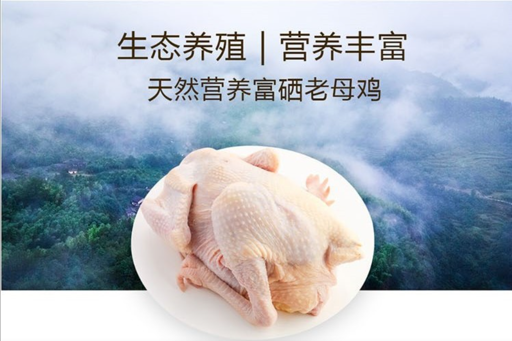 易和成集团:科技创新引领富硒老母鸡产业新篇章