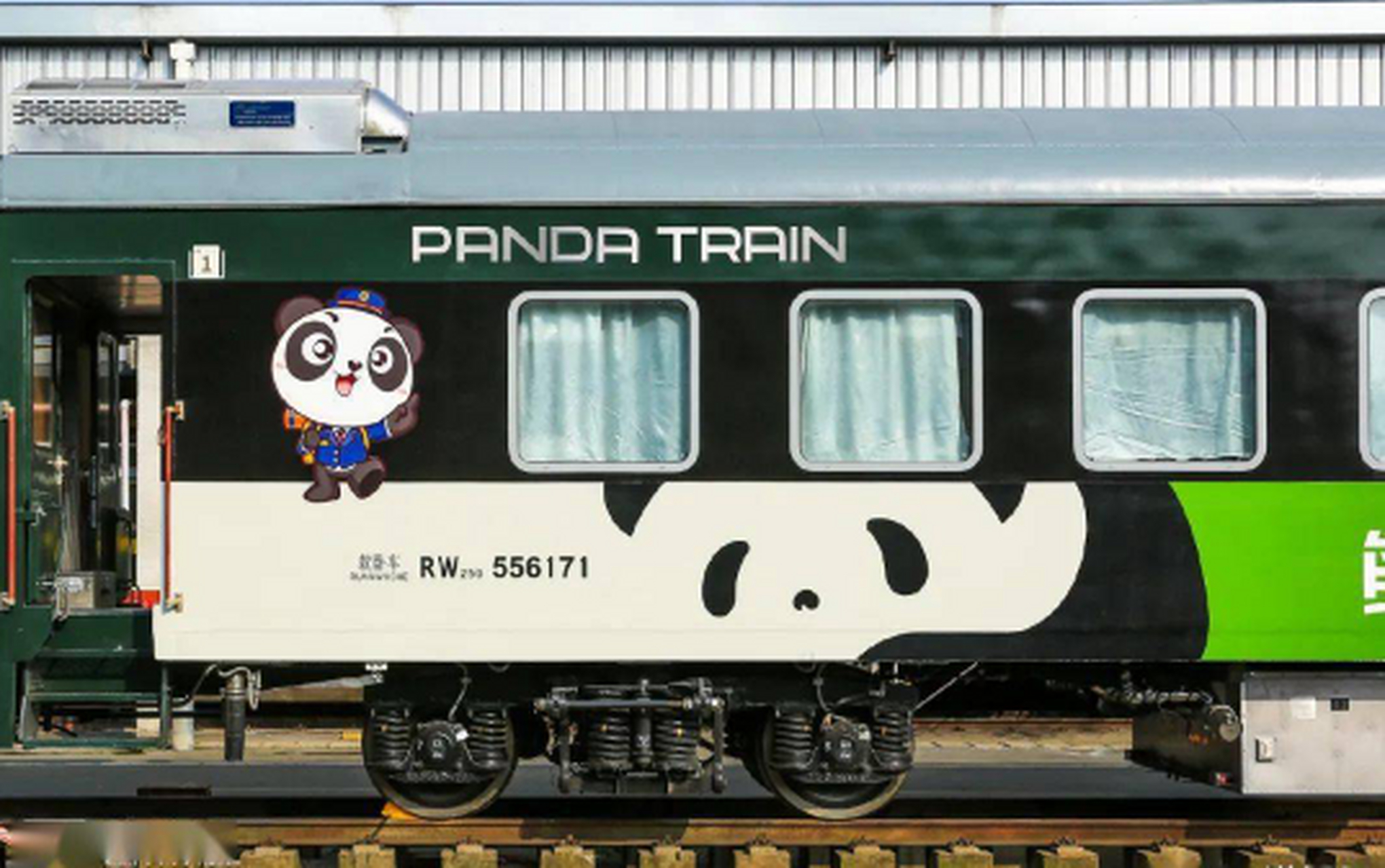 y982熊猫专列,9天穿越四川,贵州,重庆,尽享美食与美景!