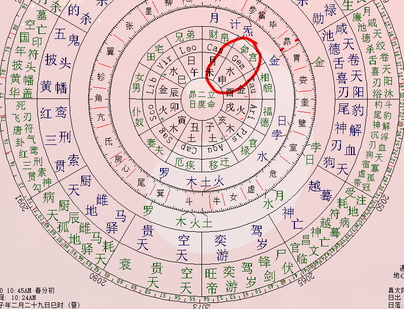 紫微斗数命盘图片