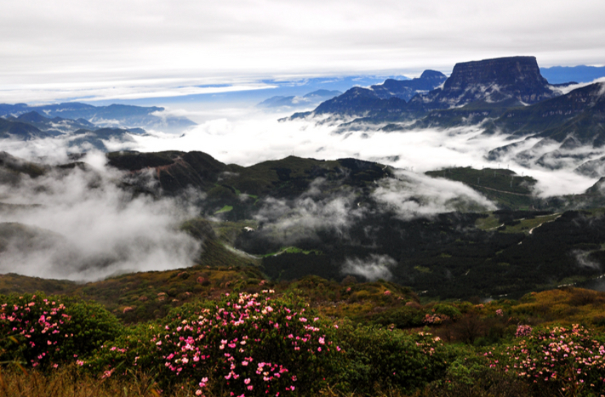 四川大瓦山景区,免费小众秘境,万亩花海壮观无比,气候宜人避暑圣地!