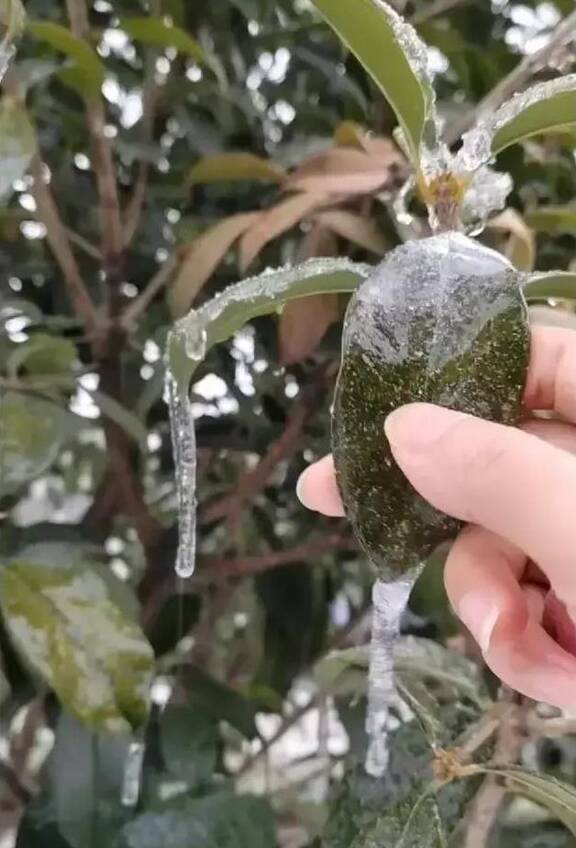 闹大了!岳阳女乘客怒斥干部后续:女子真容曝光,发声道歉求原谅