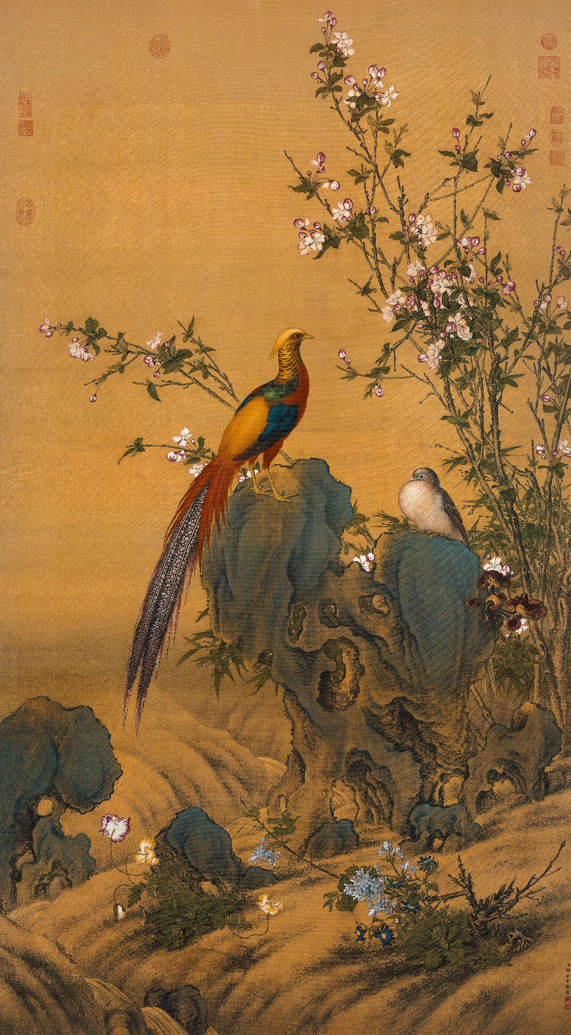 锦鸡报春图.清.郎世宁:春天到,花儿开,鸟儿鸣