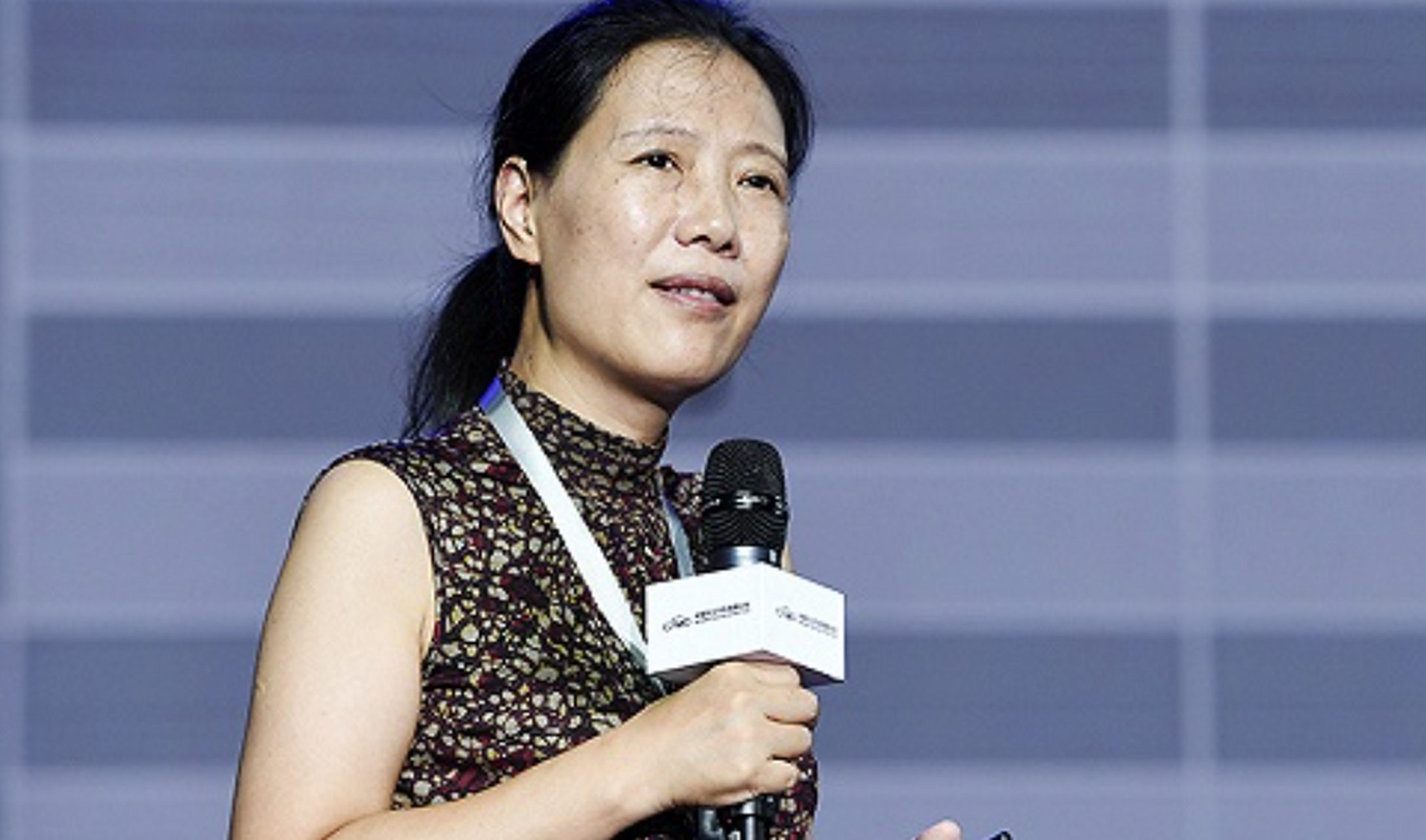 叶檀,财经女侠颠覆传统家庭观!她选择丁克生活方式勇闯职业巅峰.