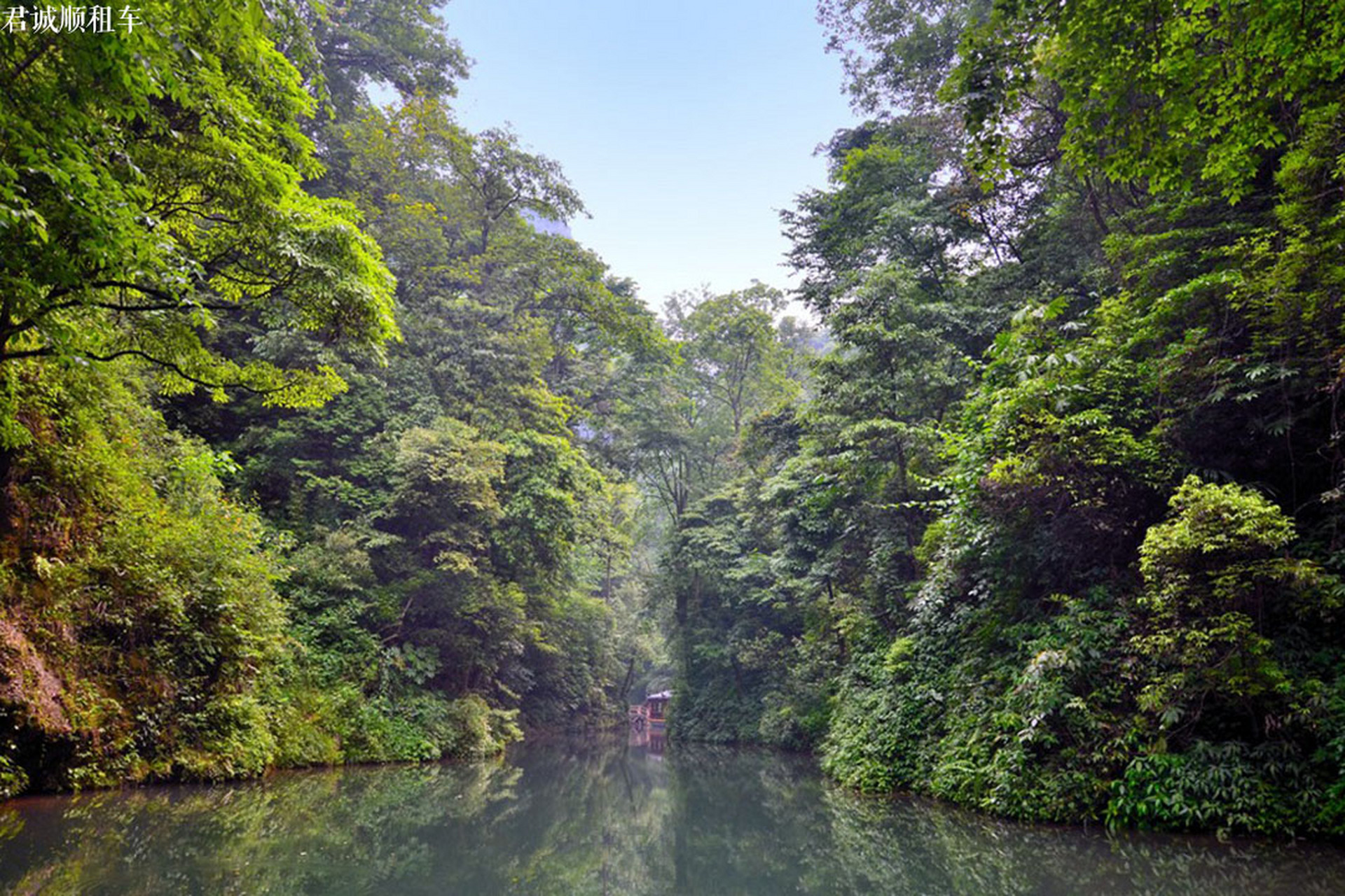 青城山位于四川成都,是道教名山,以山势雄奇,林木葱茏著称.