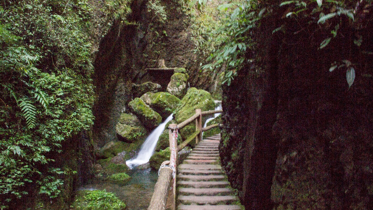 青城前山:翠峰仙域,古韵今风