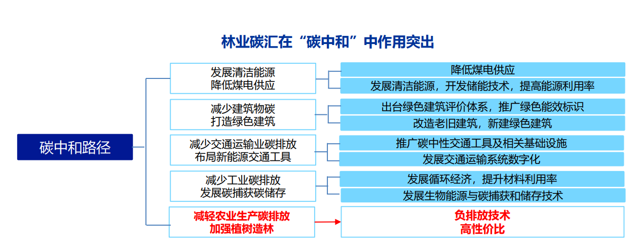 ccer重磅重启,碳汇产业千亿掘金