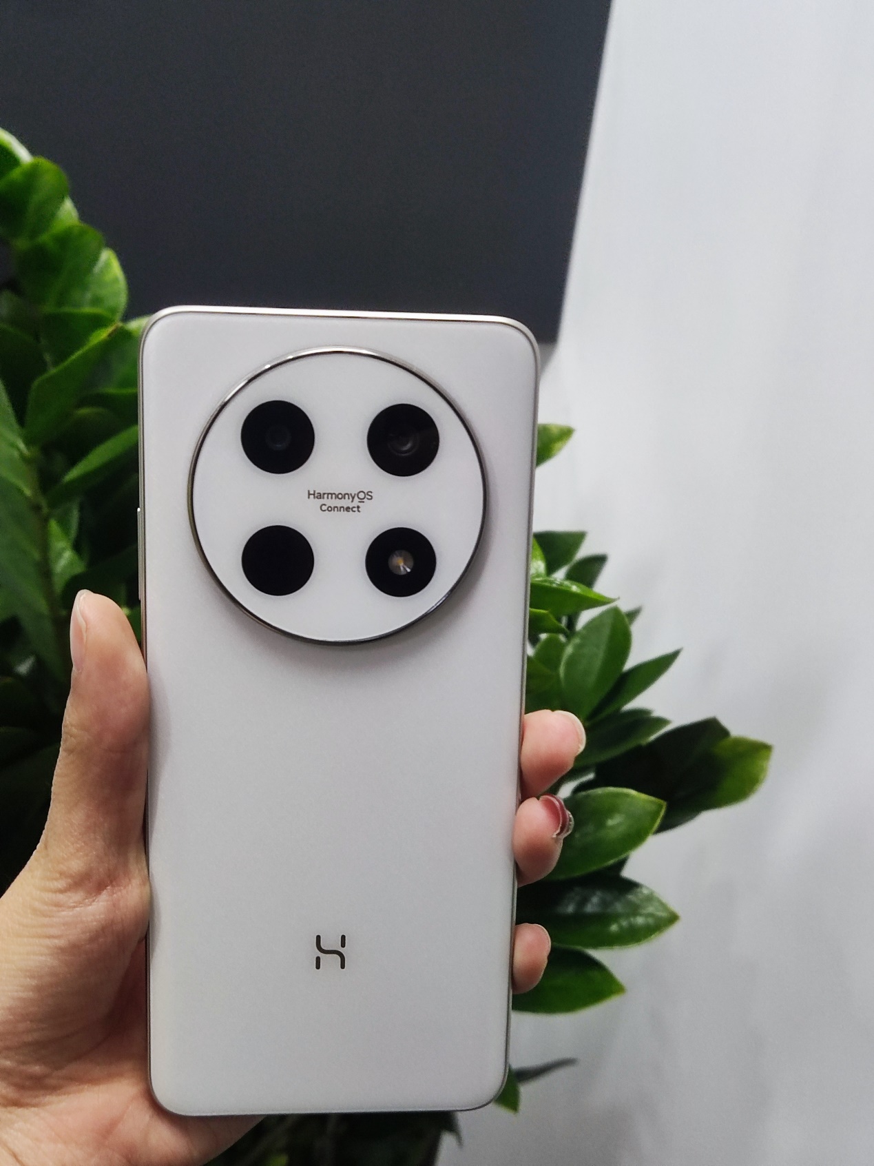 1269_1692竖版 竖屏gif 动态图 动图