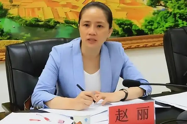 赵丽从小山村走出,凭借努力成为县委书记,却因贪心滥用职权,受贿而