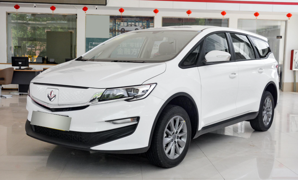 定位紧凑型mpv,采用纯电动力,8.98万起售的枫叶80v值吗