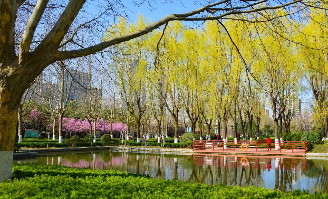 春日仙境,济南花圃公园等你来赏!