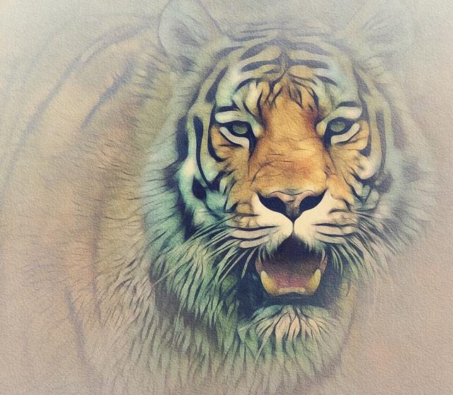 老虎的画像一只图片