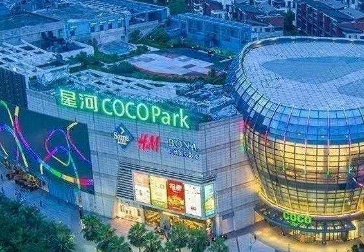 龙岗星河cocopark图片