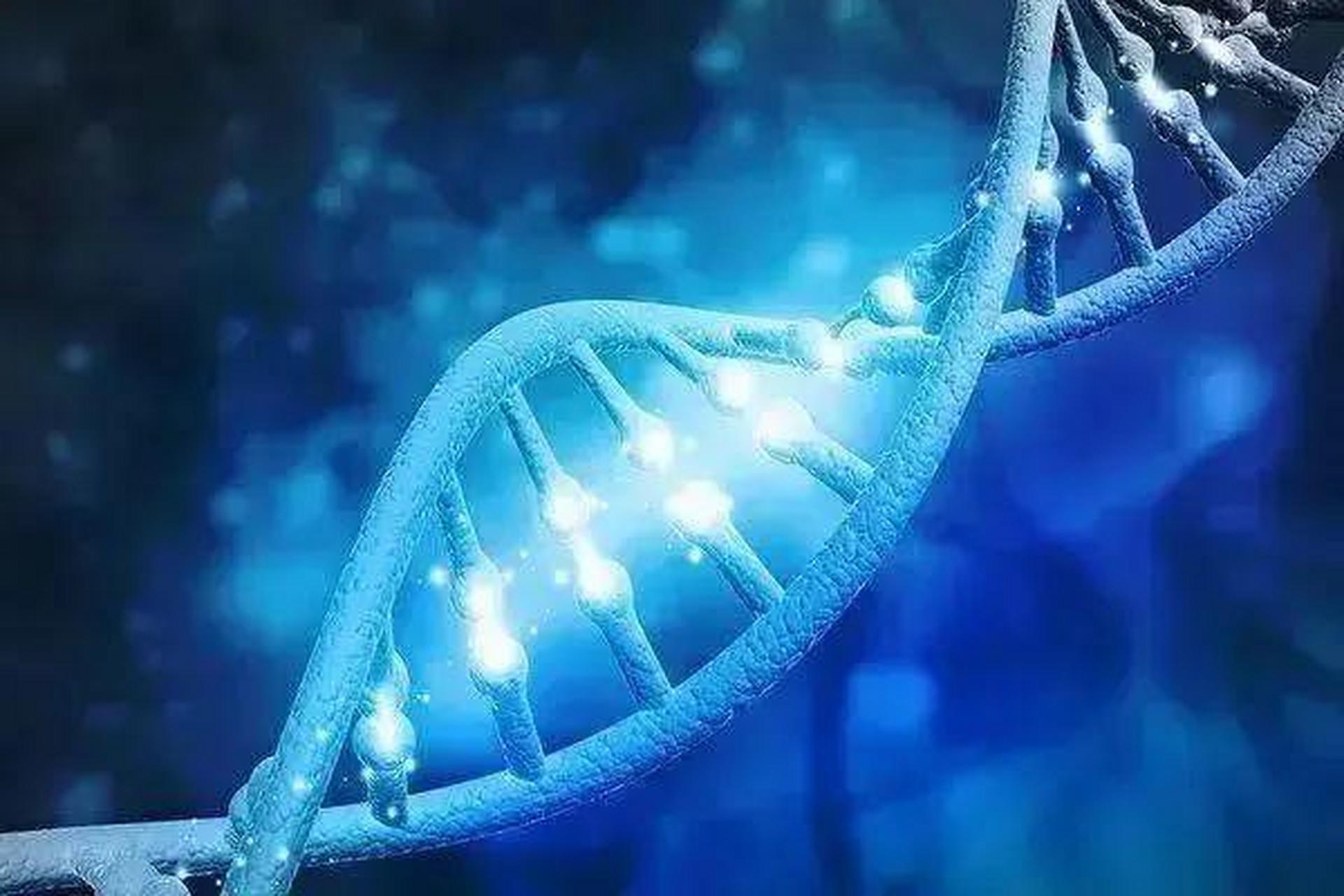 科学家发现"短命基因"遗传变体,可能增加早逝风险,影响约1/25的人.