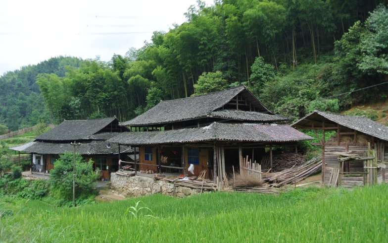 真实农村田园图图片