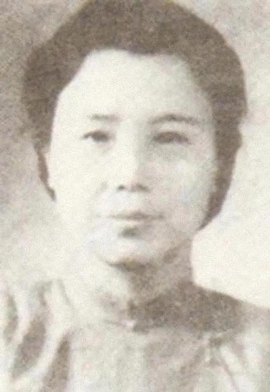 陶勇 夫人图片