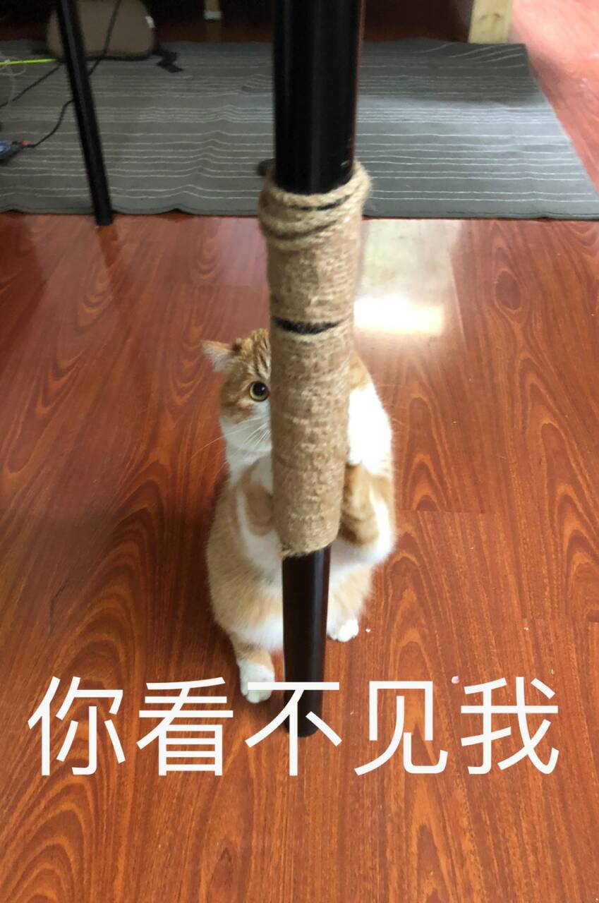 料敌从严,魏延子午谷奇谋犯了俄军一样的错误,3点原因难以成功