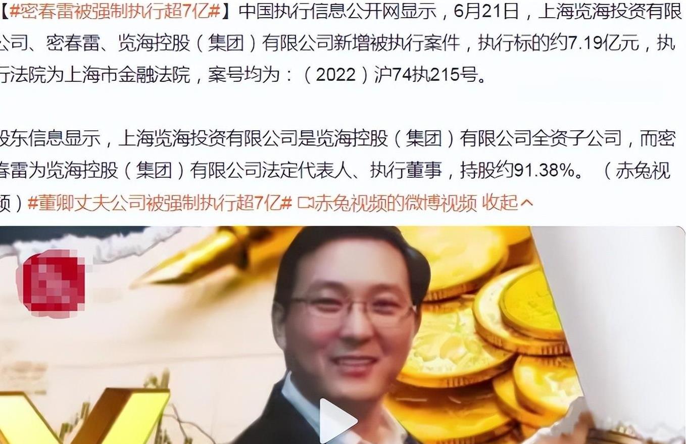 览海投资是做什么的(览海投资是做什么的呀)