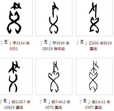 甲骨文,金文所见:画族