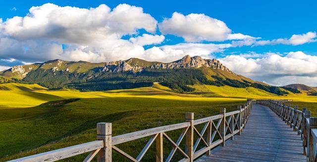 阿克苏一日游景点推荐——畅游胡杨林,领略大漠风情