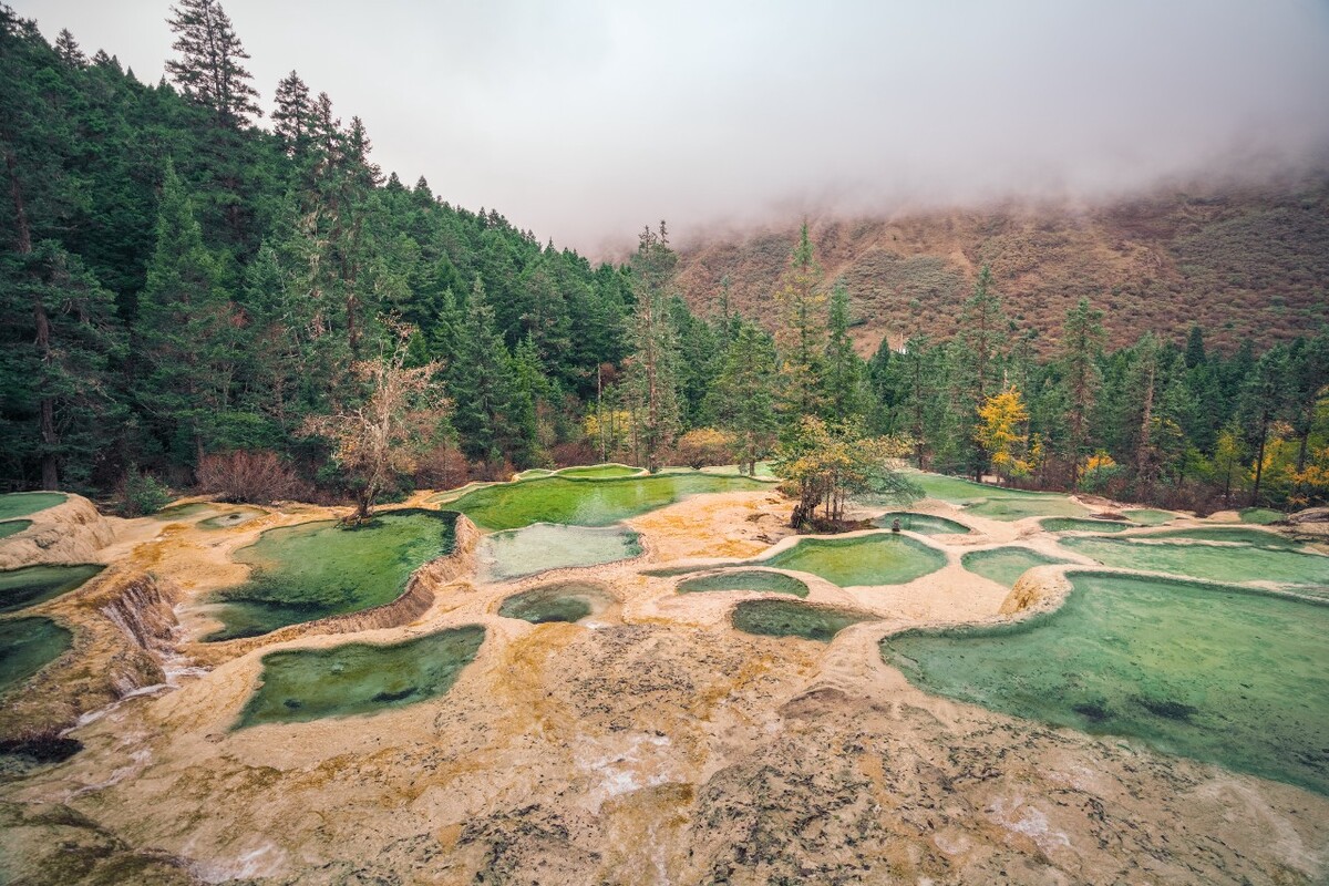 探秘四川黄龙:五彩斑斓的钙化池与神奇的自然画卷梦幻