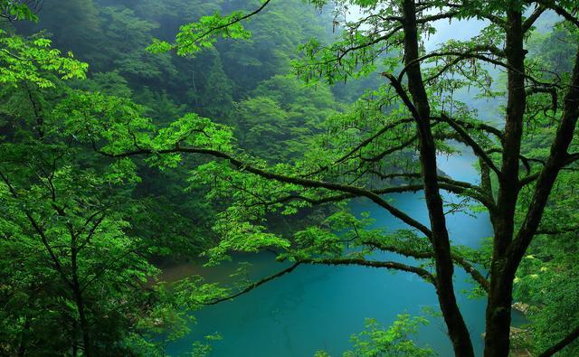 蜀南竹海全攻略:探秘绿色世界,享受桃源之旅