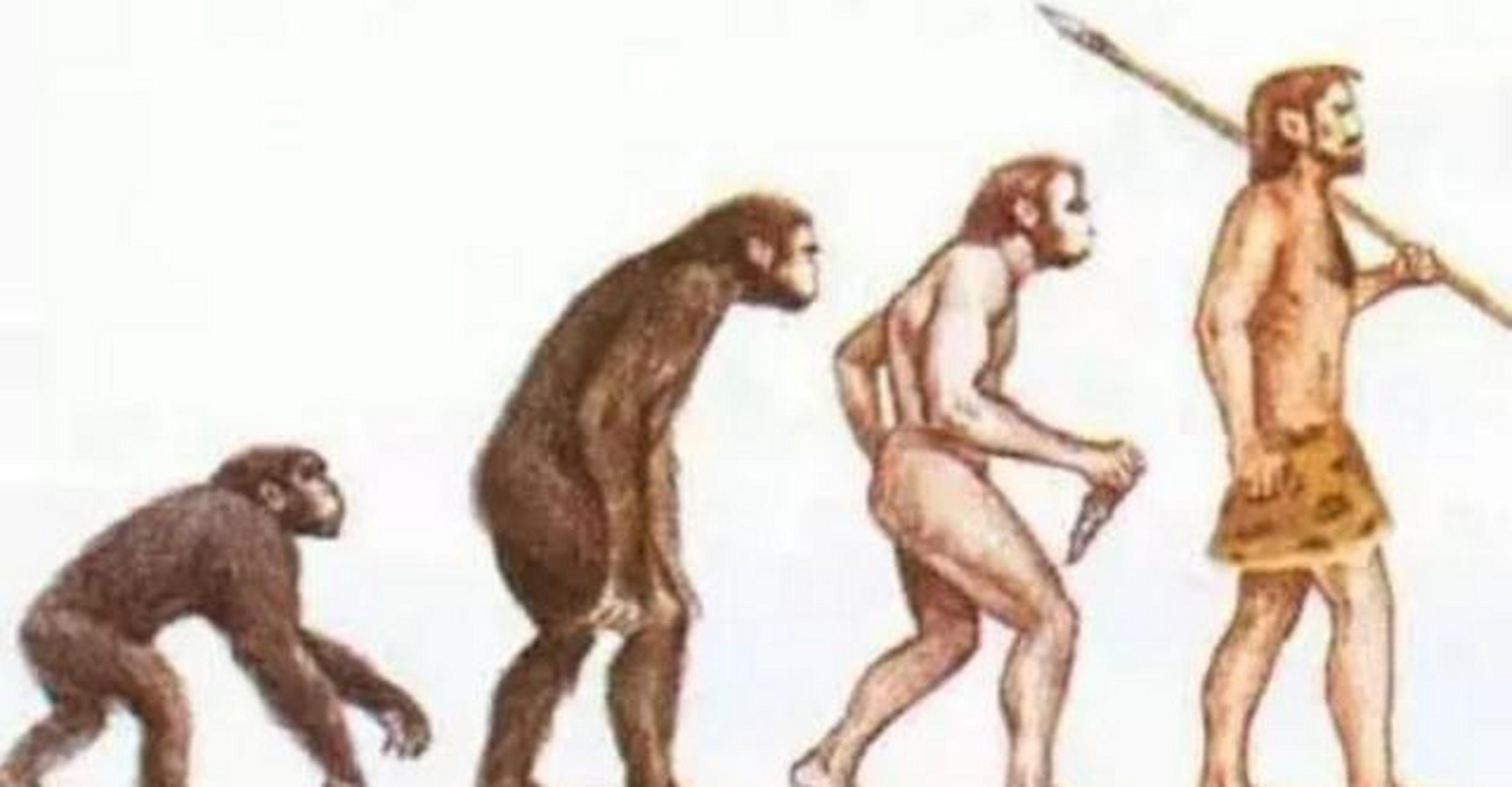从古猿迈出直立行走的第一步,双手的解放便预示着人类文明的曙光!
