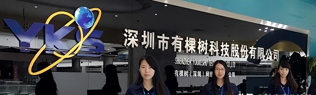 跨境电商巨头有棵树被摘帽,网友:扛不住