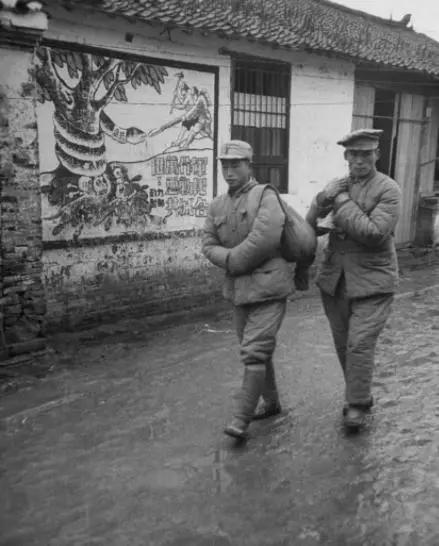 1950年洞头岛战役,守岛部队被迫撤出,国民党军抓了数百人到台湾