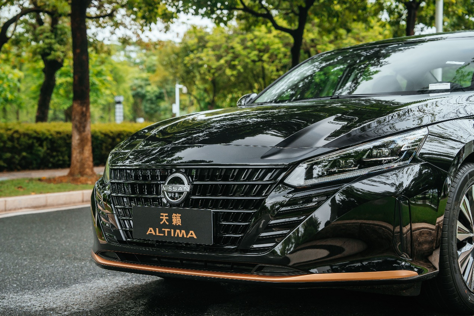 东风日产altima380图片