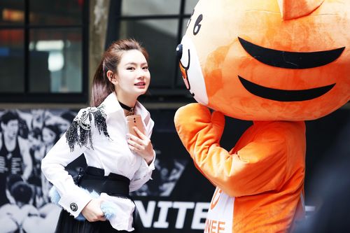 这节目直接捅破了流量的窗户纸吧?