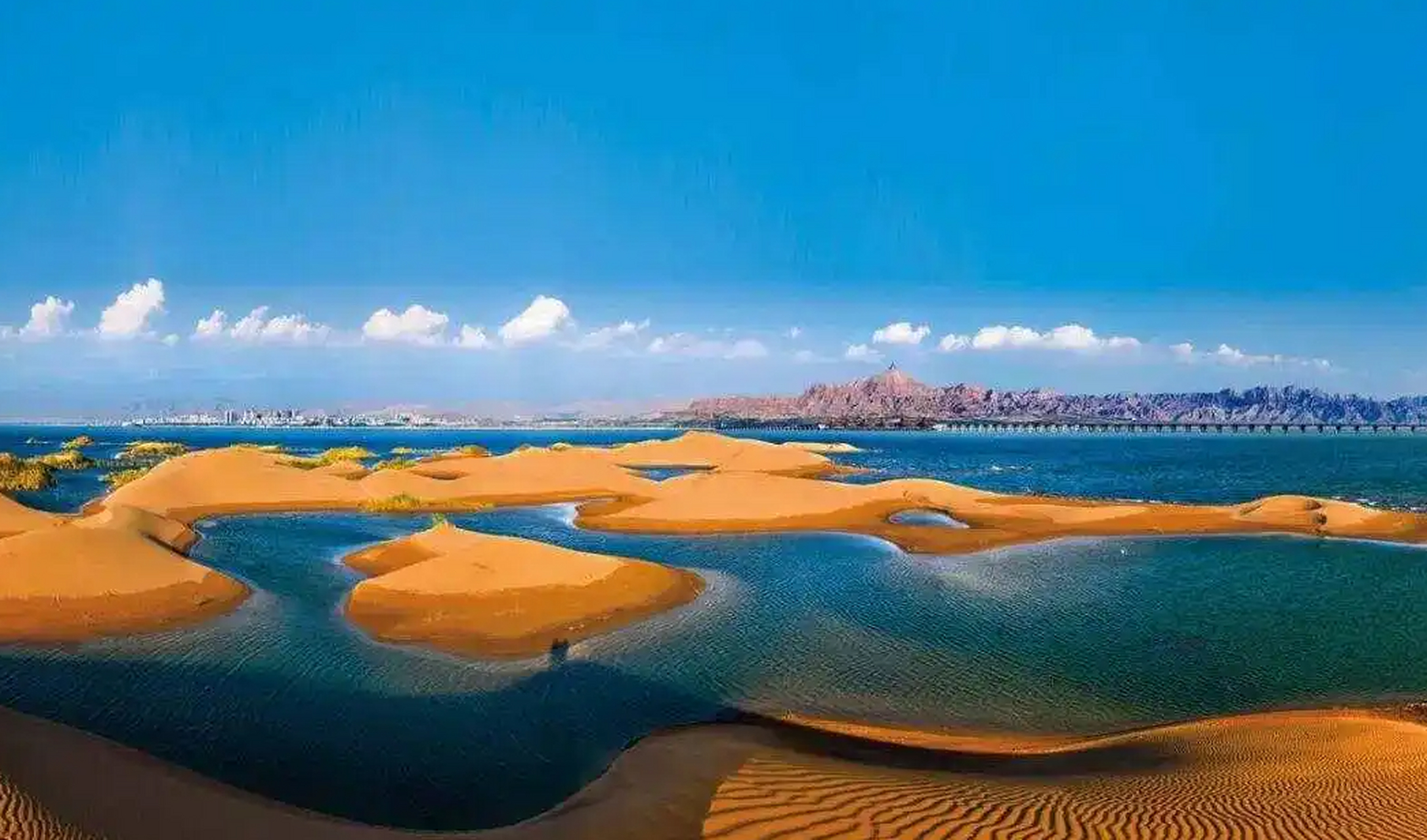 乌海,沙漠与水共存的绿洲,拥有乌海湖与金沙湾等壮丽景色.