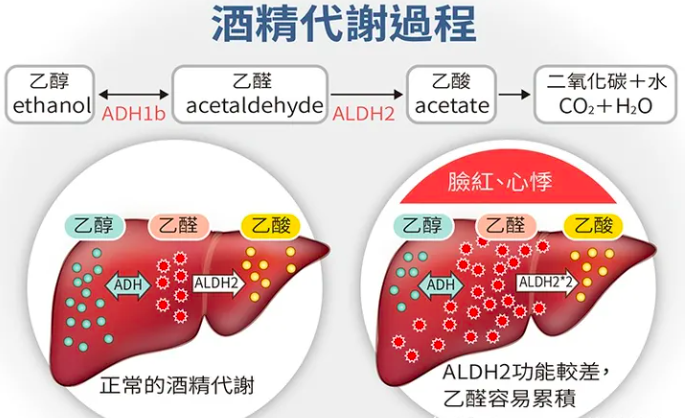 喝酒伤肝再也不怕?年饮一个西湖白酒的国人