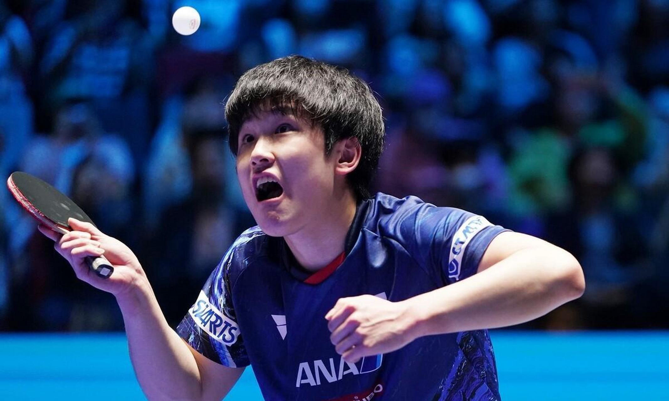 [原文:乒坛大冷门!张本智和2-.